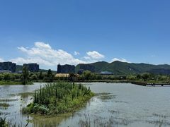 -长兴太湖图影湿地文化园