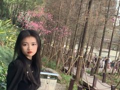 -重庆彩云湖湿地公园