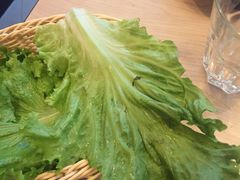 新石器烤肉(张家港购物公园店)-新石器烤肉(张家港购物公园店)