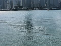 -海港城