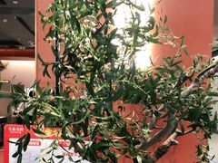 -左庭右院鲜牛肉火锅(苏州园区永旺店)