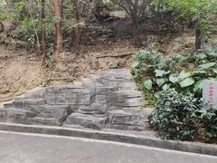 -南岗山公园
