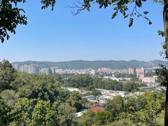 -火炉山森林公园