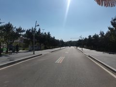 -日照海滨国家森林公园