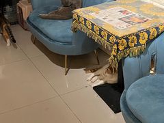 -平行世界·猫咖(首经贸店)