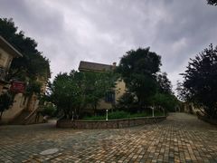 -北京张裕爱斐堡酒庄