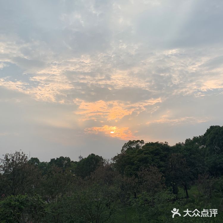 天然大氧吧与现代娱乐的兼容，