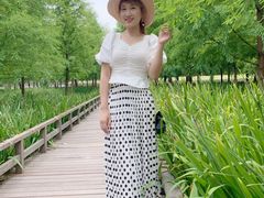 -泰州凤城河风景区-泰山公园