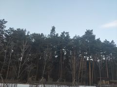 -美人松苑