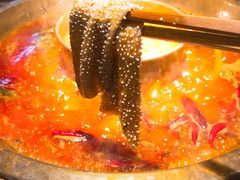 毛肚-小龙坎老火锅