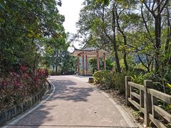 -东莞市大岭山森林公园
