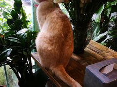 -小时光咖啡馆(北锣鼓巷店)