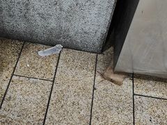 -老孙家饭庄·非遗(东关店)