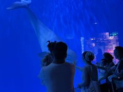 -多彩贵州城极地海洋世界