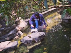 -南山植物园