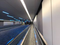 -达拉斯 沃斯堡国际机场