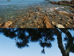 -日照灯塔风景区