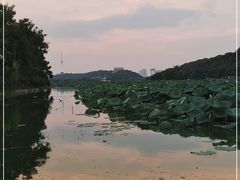 -月湖风景区