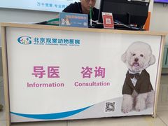 -北京观赏动物医院·24小时大型综合·猫专科·异宠专科