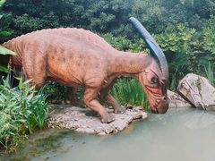 -中华恐龙园