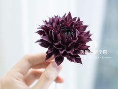 -美斯烘焙培训学院•蛋糕•面包•咖啡(宝安校区)