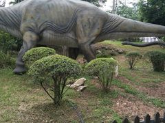 -自贡恐龙博物馆