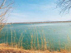 -野鸭湖国家湿地公园