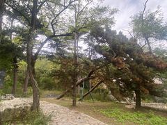 -阳台山自然风景区