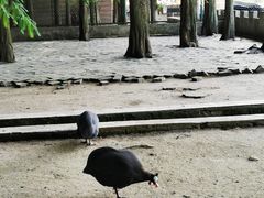 -南京金牛湖风景区