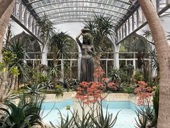 -深圳仙湖植物园