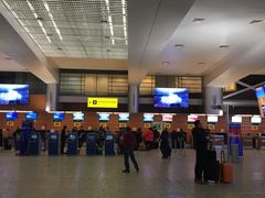 -谢列梅捷沃国际机场