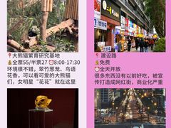 -成都大熊猫繁育研究基地
