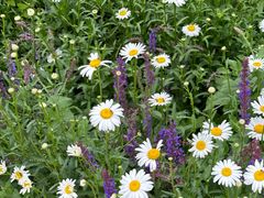 -祥源·阜阳生态乐园