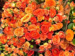 -循礼门鲜花花市(武汉循礼门店)