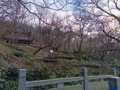 -句容茅山景区