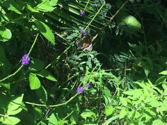 -龙坑生态保护区