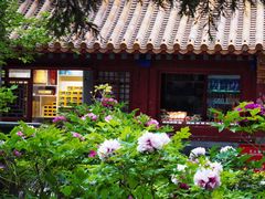 -故宫博物院(故宫)