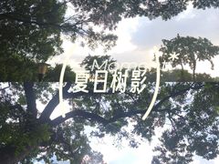 -东莞植物园
