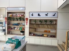 -凯瑞希宠物医院·狂犬免疫·微创·皮肤科