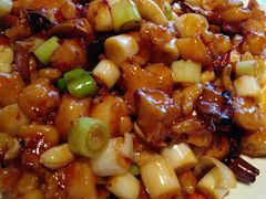 -95号酱骨·一块豆腐(展春园西路店)