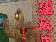 -北疆饭店(大运河博物馆宝龙店)