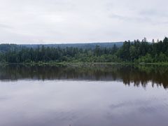 -五营红松林海景区