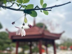 -武汉紫薇都市田园