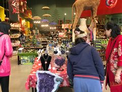 -Behring World of Animals(上海自然博物馆店)