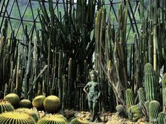 -深圳仙湖植物园