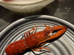-红盔甲·小龙虾(人民广场店)