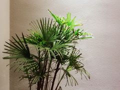 包房-江南雅厨(李公堤店)