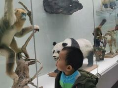 -国家自然博物馆