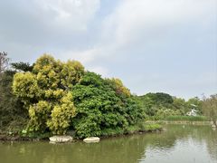 -海珠湖公园
