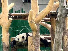 -沈阳森林动物园